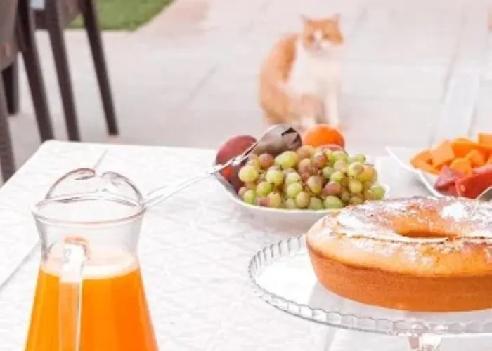 Villa Quintal Do Gremio - Casa